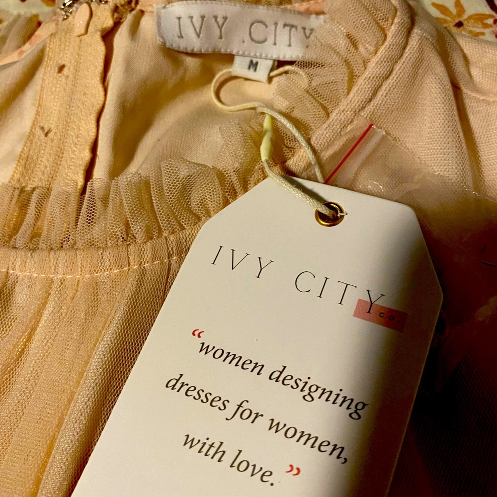 IVY city co elegant dress